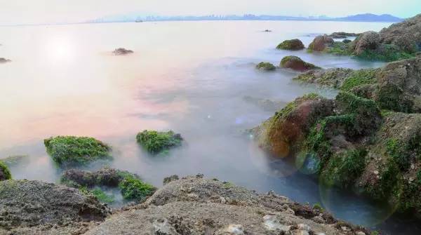 2017，竹岔岛，那片海，那座岛，那年夏天的记忆