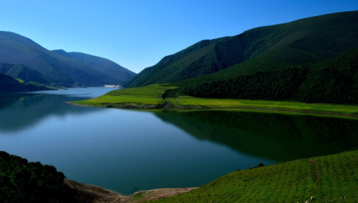 自驾门源，赴一场金色花海与自由山野的夏之约