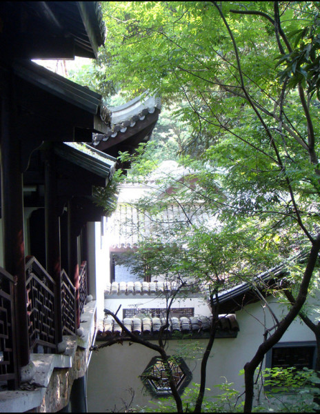 福建3月旅游攻略,邂逅山海间的春天,不负春光不负卿 福建3月旅游攻略,邂逅山海间的春天,不负春光不负卿