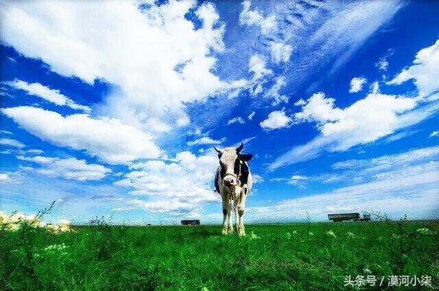 呼伦贝尔旅游全攻略，交通、行程、注意事项，一篇搞定！