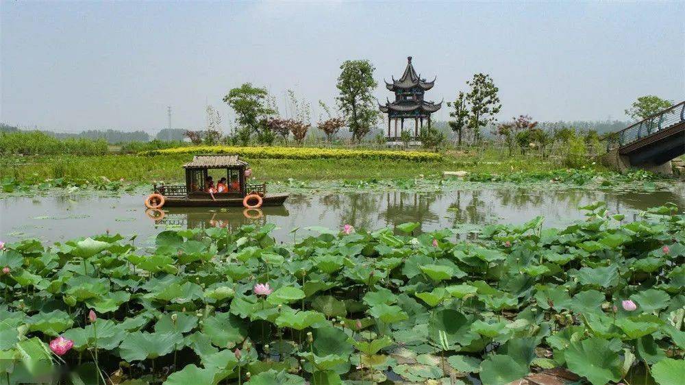泰来县旅游，邂逅北国湿地的诗意与风情