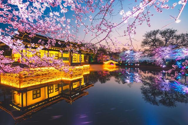 3月，赴一场西双版纳的春日热带之约