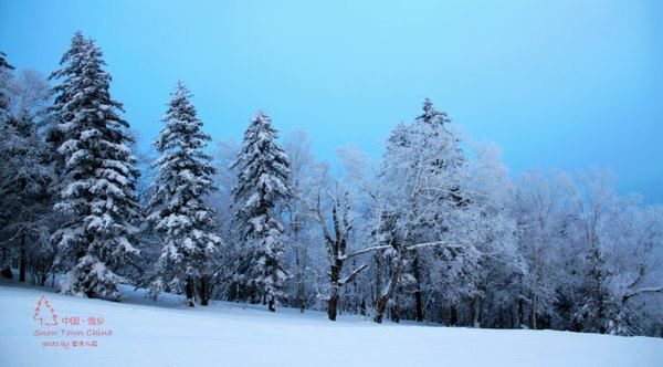 雪落中国年，情暖雪乡路——我的春节雪乡之旅