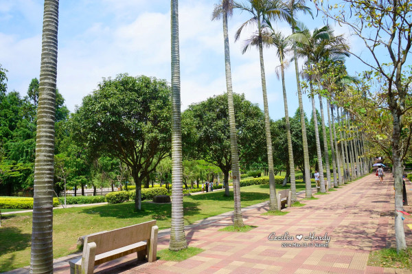漫步芙蓉湖畔,邂逅厦大之美——厦门旅游网带你解锁校园游新体验 漫步芙蓉湖畔,邂逅厦大之美——厦门旅游网带你解锁校园游新体验