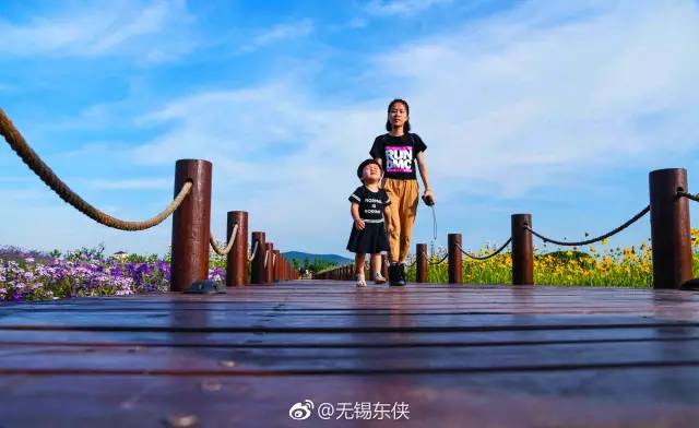 五天四夜，赴一场宁夏的诗与远方，在沙漠、黄河与星空里，遇见辽阔与温柔