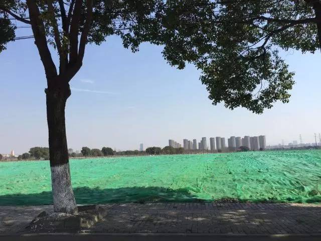 永记生态园，都市绿肺里的自然疗愈之旅