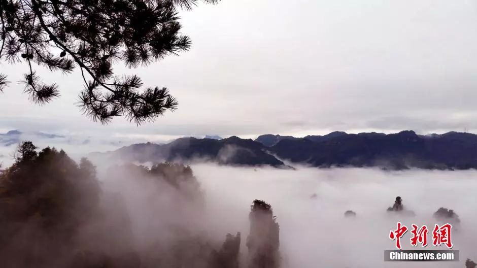 云海仙境问道老君山，两日深度漫游指南