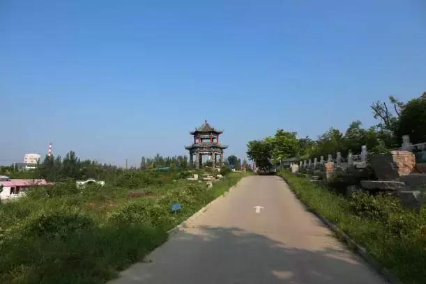 苍南月亮湾,碧海金沙间的诗意栖居 苍南月亮湾,碧海金沙间的诗意栖居