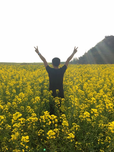 黄海罗平，当油菜花海拥抱蔚蓝海岸，邂逅山海间的诗意浪漫
