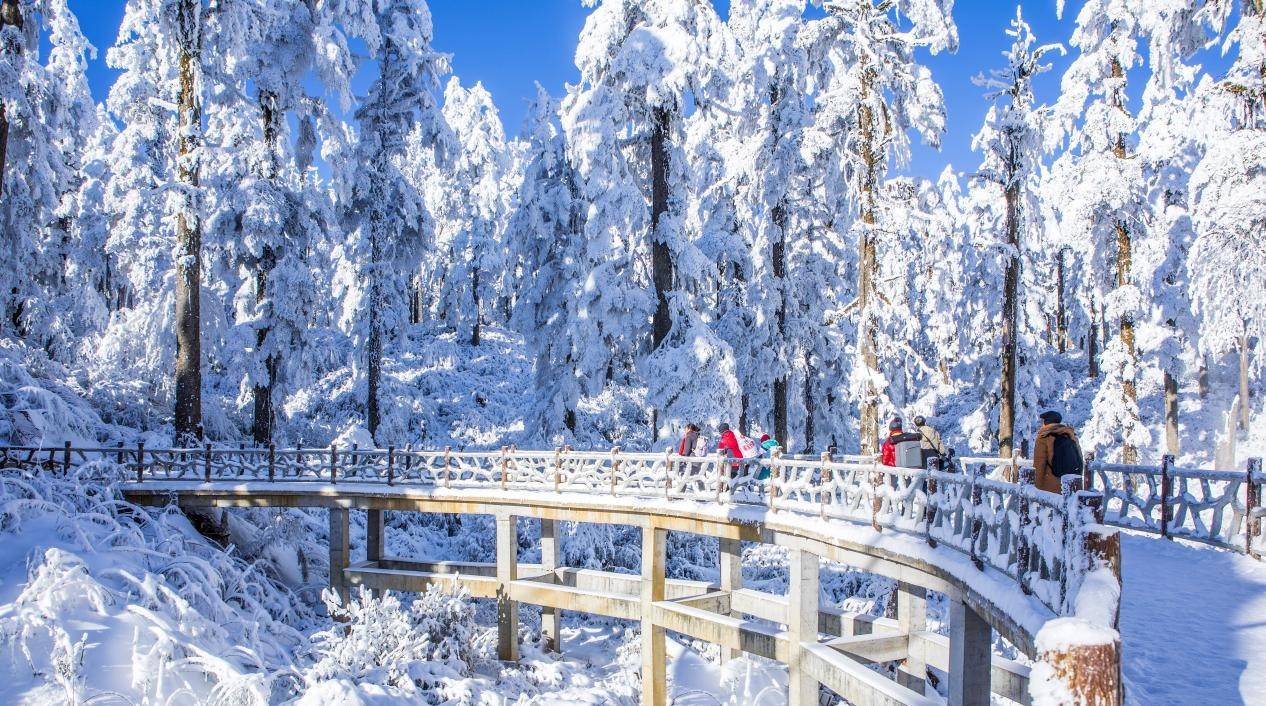 东北三天，赴一场冰雪与热辣的极致邂逅