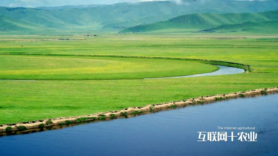 郑州向西，奔赴若尔盖，把日子过成草原的诗