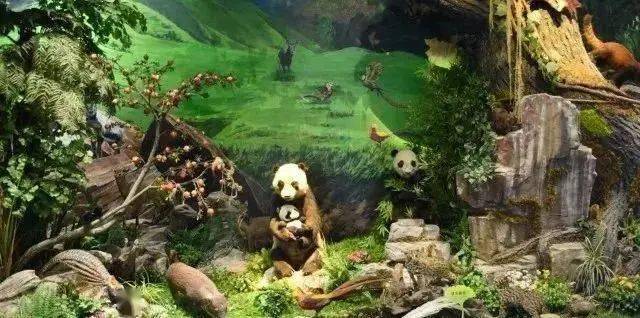 探秘?R?R哈??特旅游，一场穿越时空的秘境之旅