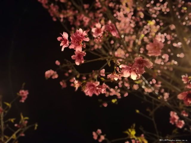 2018年4月，踏着春光，赴一场山水与花期的邀约