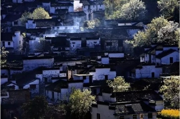 从北京到婺源，2015年，一场与春天的金色邂逅