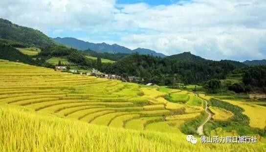 诗意岭南，稻浪翻飞，广东梯田旅游攻略与风光