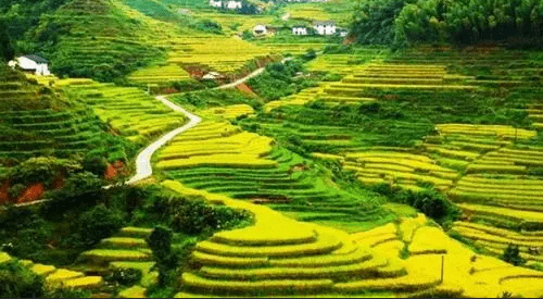乳源,北回归线上的绿意诗行,广东瑶乡的秘境之旅 乳源,北回归线上的绿意诗行,广东瑶乡的秘境之旅
