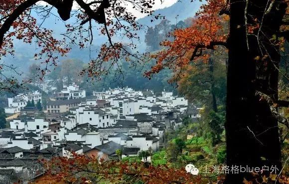 北京出发，邂逅婺源11月的诗画秋色