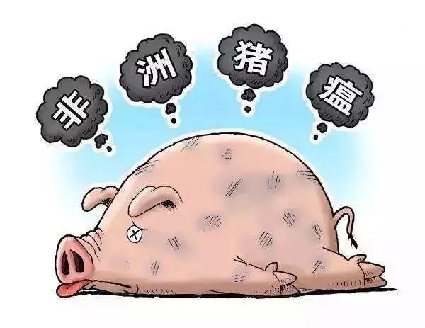 辽宁通报非洲猪瘟疫情，科学防控筑牢生猪产业安全防线