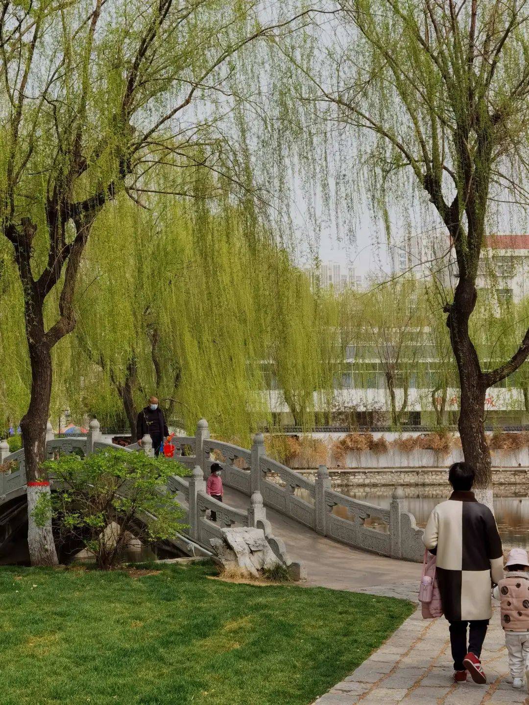 陵园路，镌刻时光的漫步长廊，春色与人文交织的旅游秘境