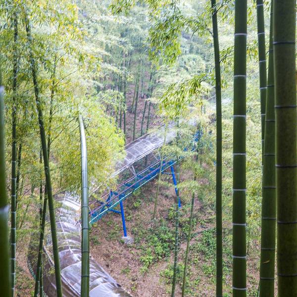 安吉自助游攻略,邂逅竹海茶韵,畅享山水野趣 安吉自助游攻略,邂逅竹海茶韵,畅享山水野趣