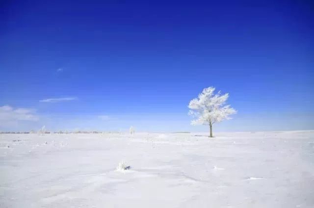 香格里拉1月，邂逅一场雪域秘境的冬日童话