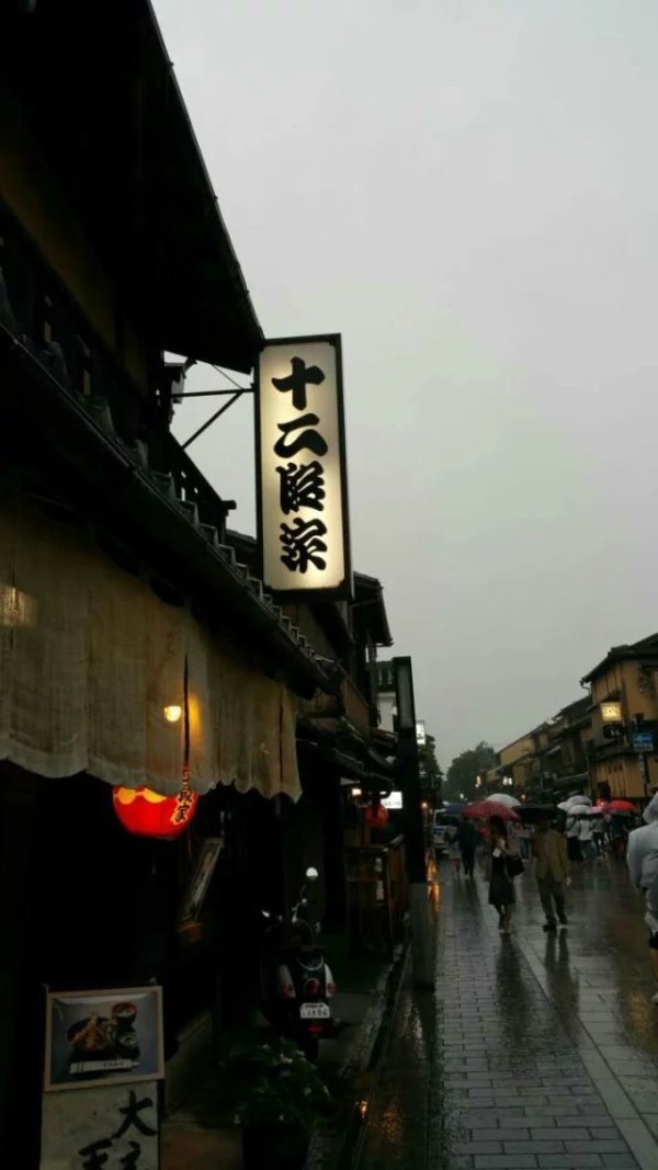 京都骑行，在古巷与樱岚间，解锁自由行的诗意密码