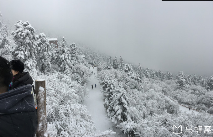 峨眉山乐山冬日行，佛国圣境的雪与暖