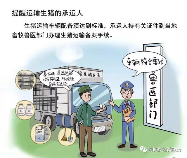 沈阳非洲猪瘟疫情最新进展，防控措施升级，市场供应稳定