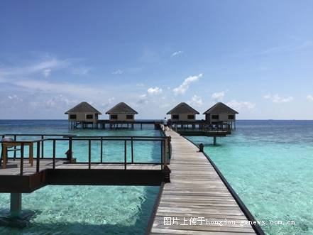 从海上花园到人间天堂，厦门到马尔代夫的梦幻之旅