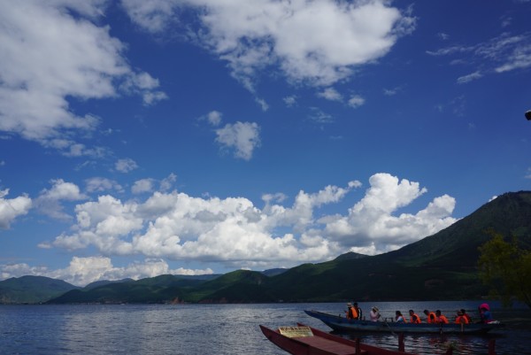 琉森的湖光山影与不期而遇的马蜂，一场惊险又难忘的旅行插曲