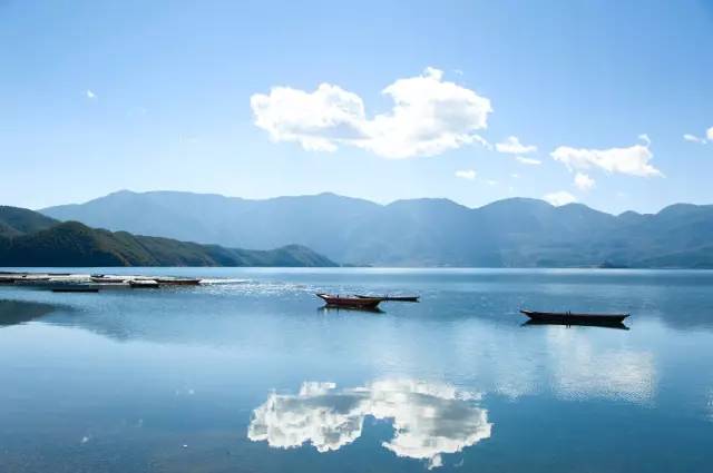 琉森的湖光山影与不期而遇的马蜂，一场惊险又难忘的旅行插曲
