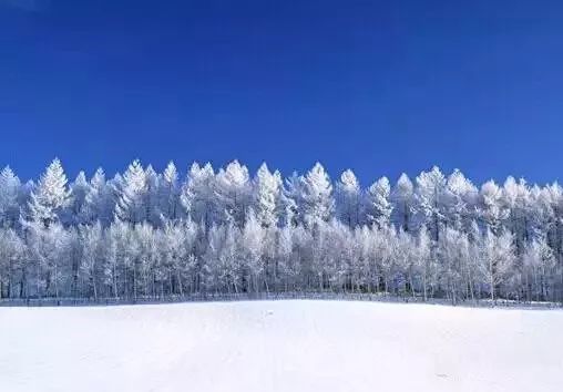 坝上春节，雪原牧歌里的年味新体验