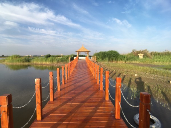 加州阳光与沙漠绿洲，棕榈泉，不止是疗养胜地的悠然时光