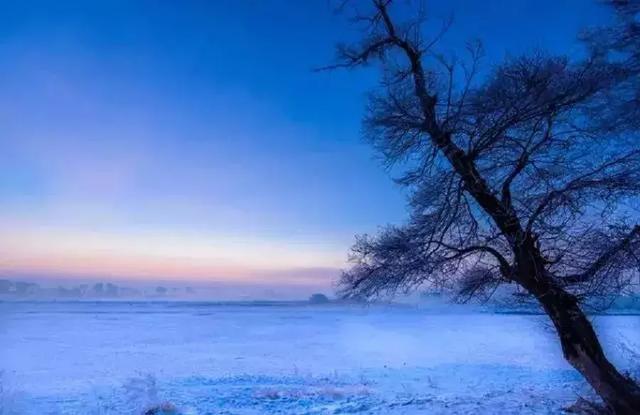 冰雪东极，冬日秘境——抚远冬季旅游邀您共赴一场白色浪漫