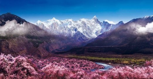 从繁华都市到秘境林芝，一场跨越山海的心灵朝圣之旅