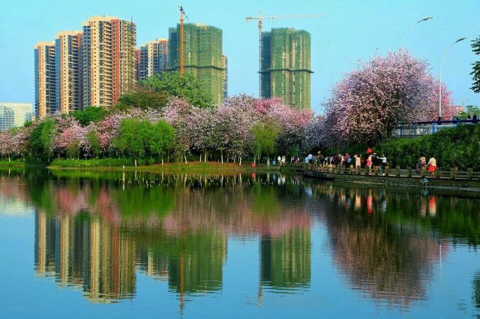 山水工业交响曲，舌尖风情醉柳州——广西柳州旅游全攻略