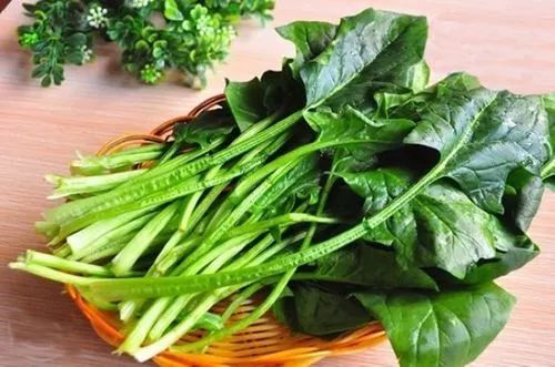 最新菠菜网背后的真相，你以为的捷径，其实是深渊