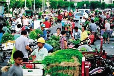 海口市区漫游，在椰风海韵中邂逅都市慢生活