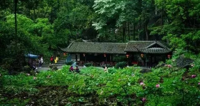 冬日暖阳，温泉润心，广州从化的冬日慢时光