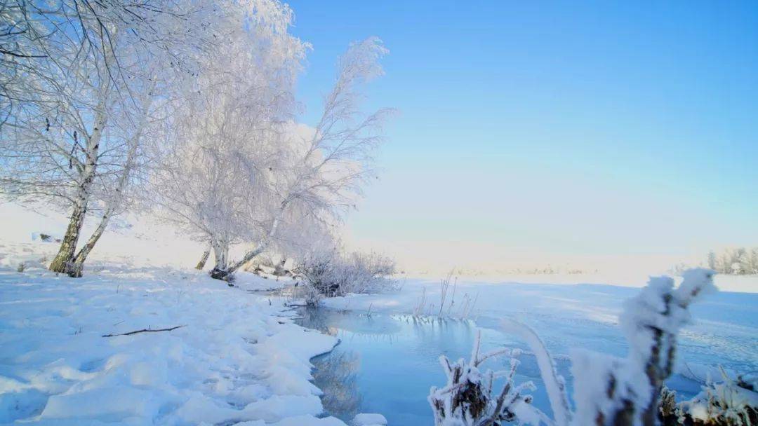 若尔盖冬季，赴一场雪原深处的童话之约