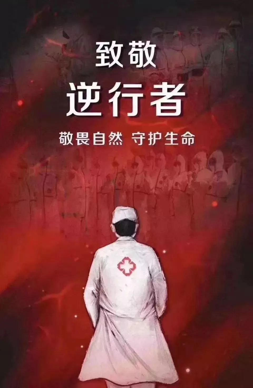 闵行战疫录，寒夜里的守望，春暖时的花开
