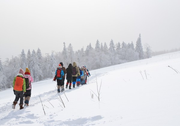 雪落阿勒泰，一个人的冬日童话之旅