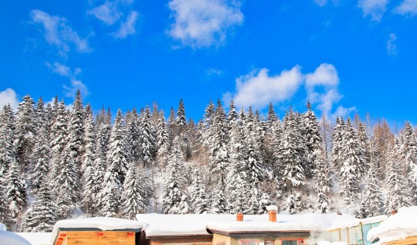 雪落阿勒泰，一个人的冬日童话之旅