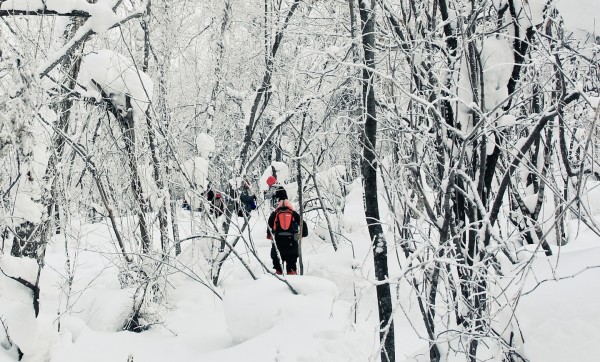 雪落阿勒泰，一个人的冬日童话之旅