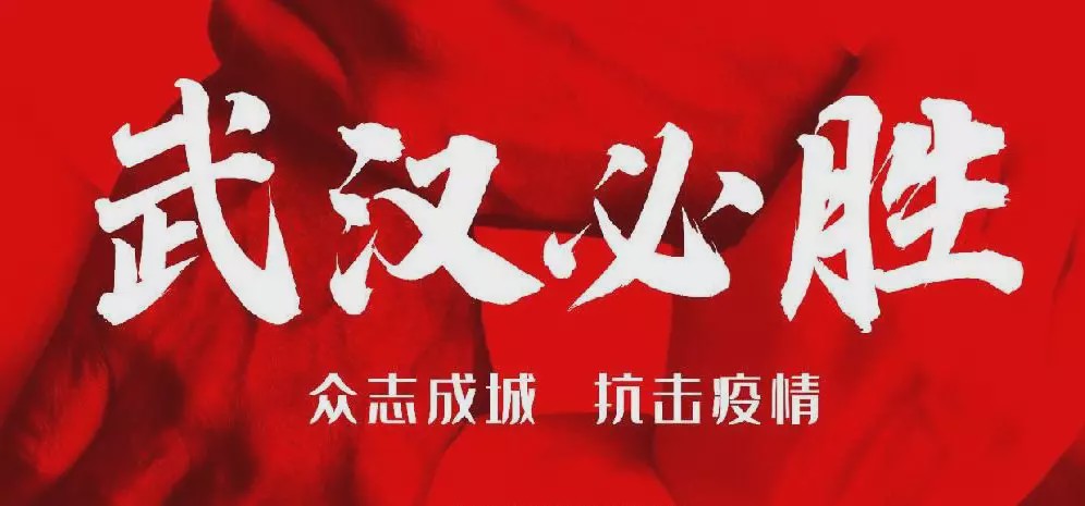 众志成城，共克时艰，中国国内疫情防控的实践与启示