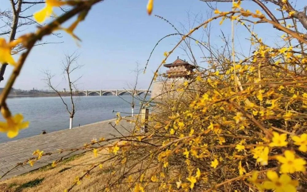 3月春意渐浓，这些地方天气正适合踏青赏景！