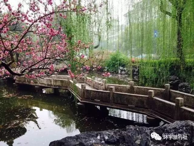 湖州花溪谷，藏在江南山水间的天然氧吧与诗意栖居