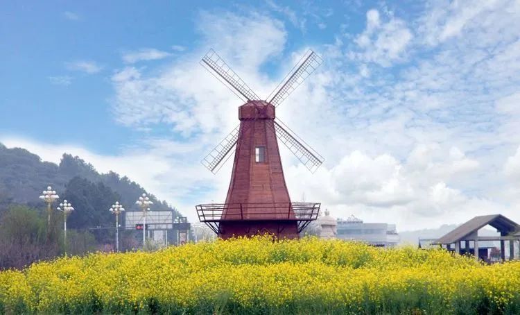 从沈阳出发，邂逅北海道的四季浪漫