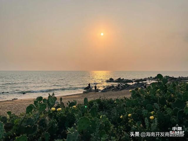 宝岛台湾深度游，4大主题路线解锁山海与人文的双重魅力