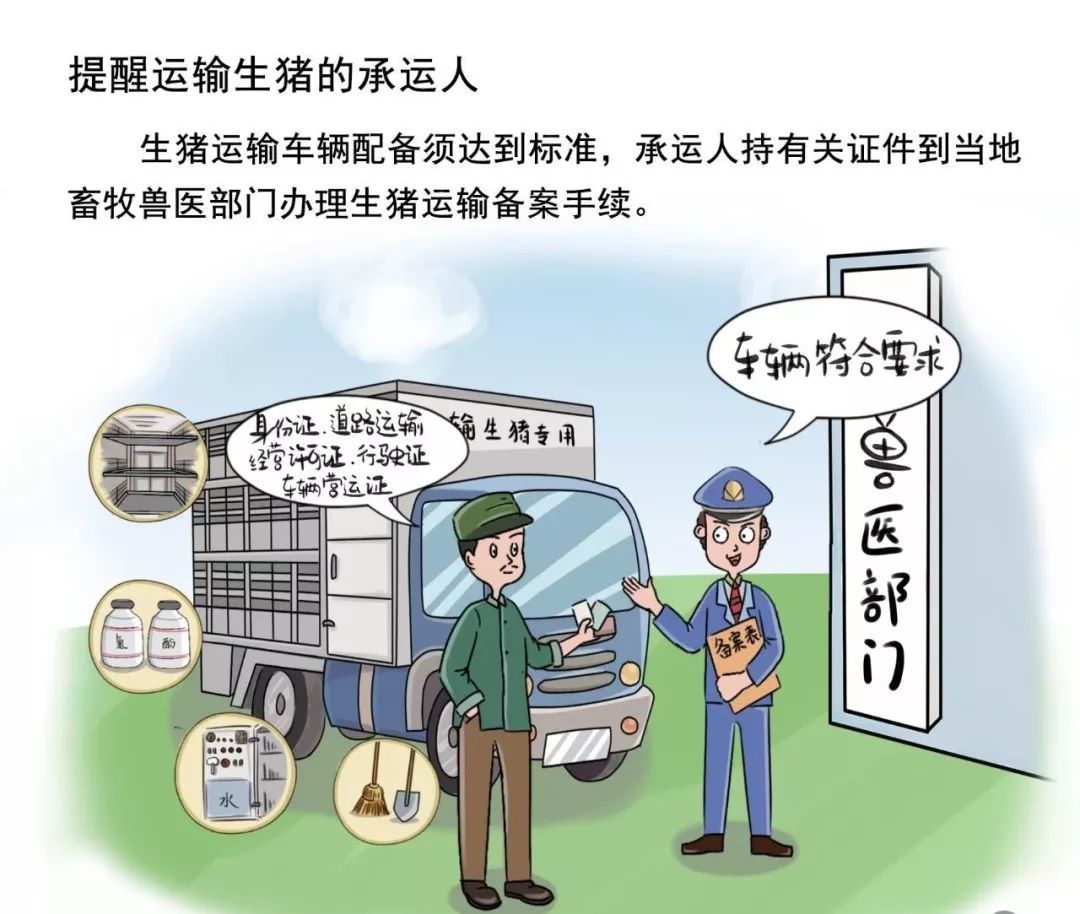 中国非洲猪瘟疫情，防控挑战与经验启示